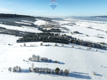 Działka rolna Frydman