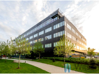 Lokal Warszawa wynajem