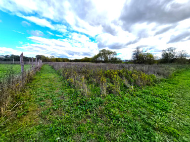 Działka budowlana Chojna