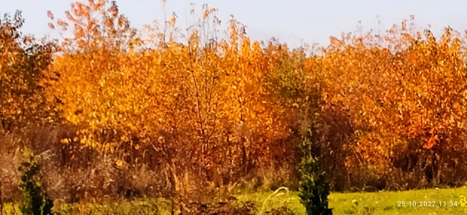 Działka budowlana Radomsko