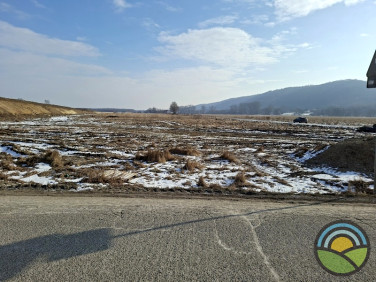 Działka usługowa Niegoszowice