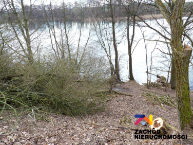 Działka budowlana Sulęcin