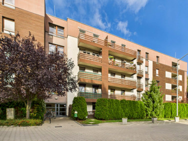 Mieszkanie Skórzewo