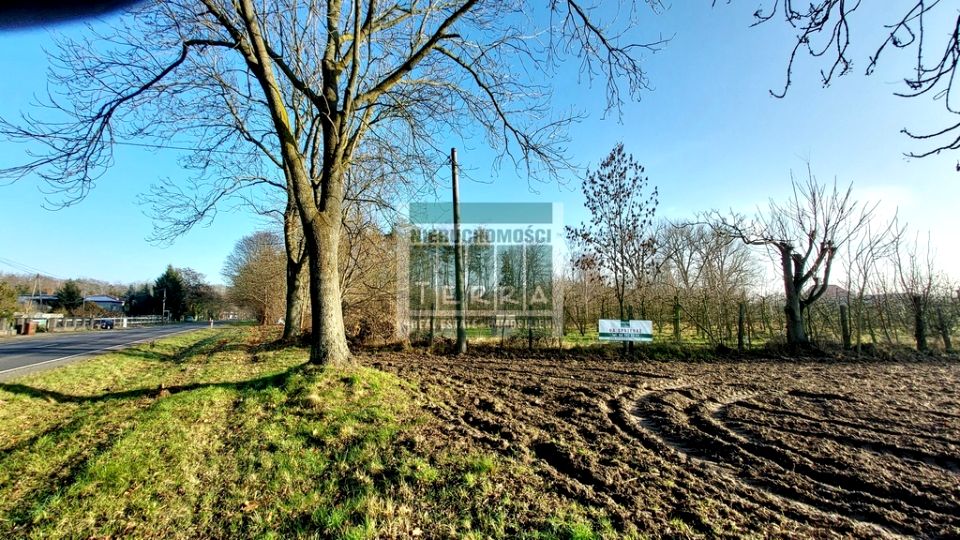 Działka budowlana Krosno Odrzańskie