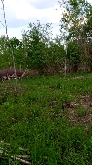 Działka rolna Przyłęk