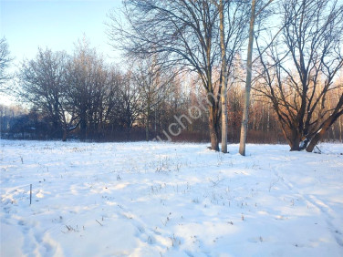 Działka leśna sprzedam