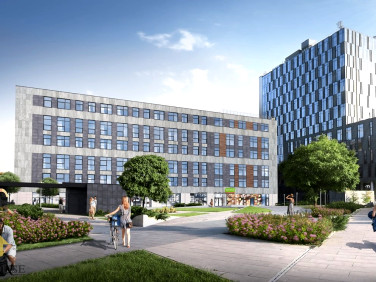 Lokal Lublin wynajem