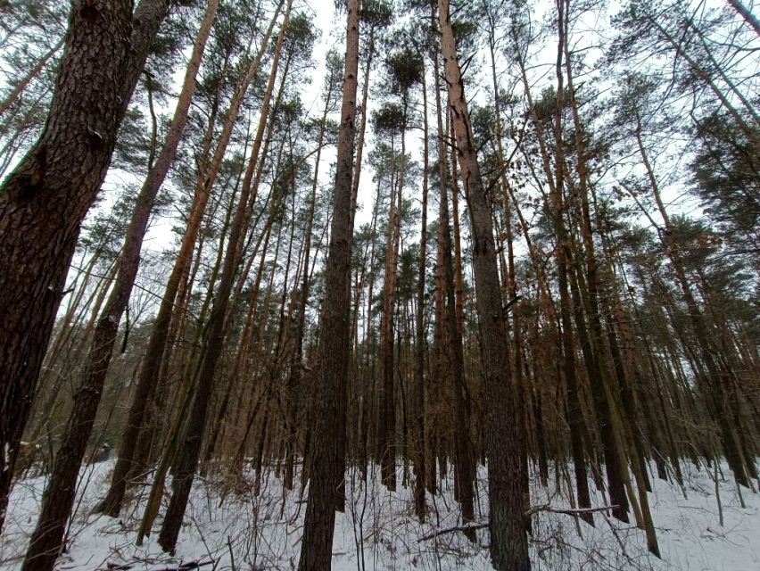 Działka leśna Władysławów sprzedam