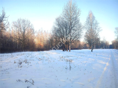 Działka budowlana Milanówek sprzedam