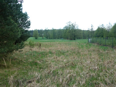 Działka rekreacyjna Wylatkowo