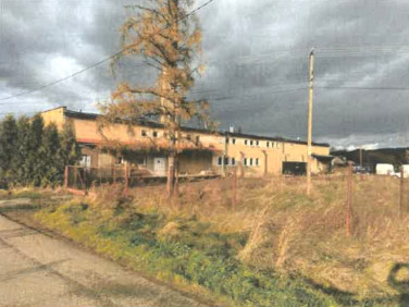 Lokal Jasienica Rosielna