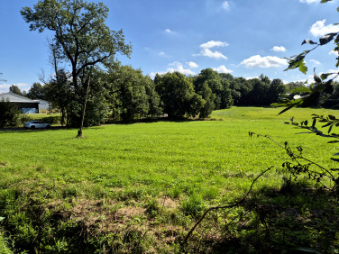 Działka przemysłowa Pruchna