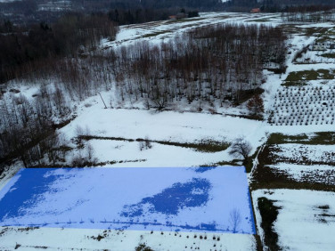 Działka budowlana Szkodna