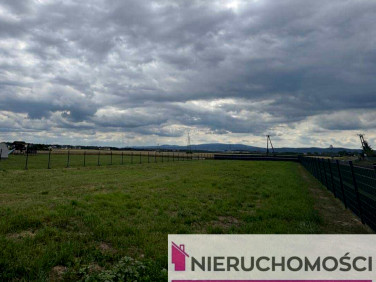 Działka budowlana Pszenno sprzedam