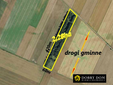 Działka rolna Krynki