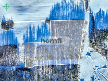 Działka leśna Rokity