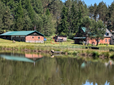 Działka siedliskowa Bytów