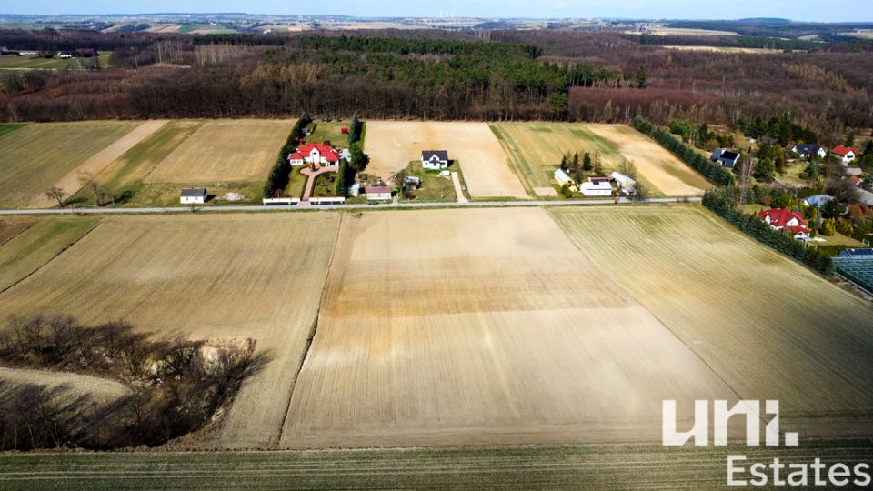 Działka siedliskowa Prandocin-Iły