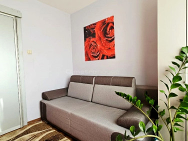 Mieszkanie Siedlce sprzedaż