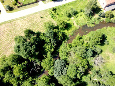 Działka siedliskowa Sępochów