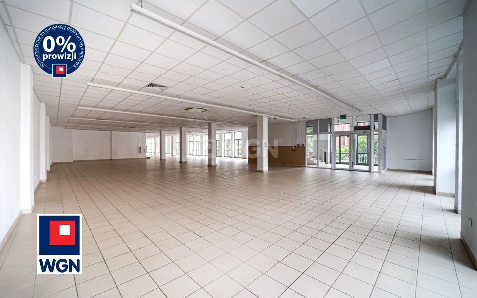 Lokal Legnica wynajem