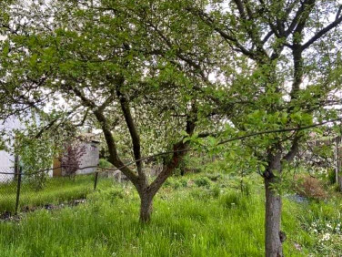 Działka rekreacyjna Szczecin