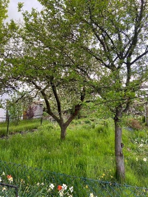 Działka rekreacyjna Szczecin