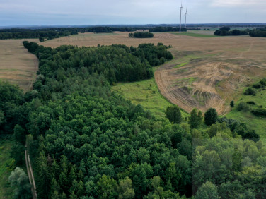 Działka rolna Prusinowo