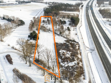 Działka usługowa Stara Niedziałka