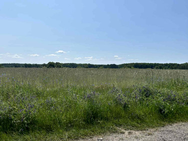 Działka budowlana Parchów