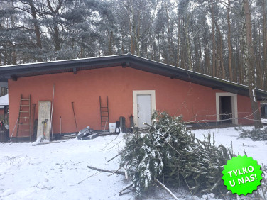 Działka leśna Kopana