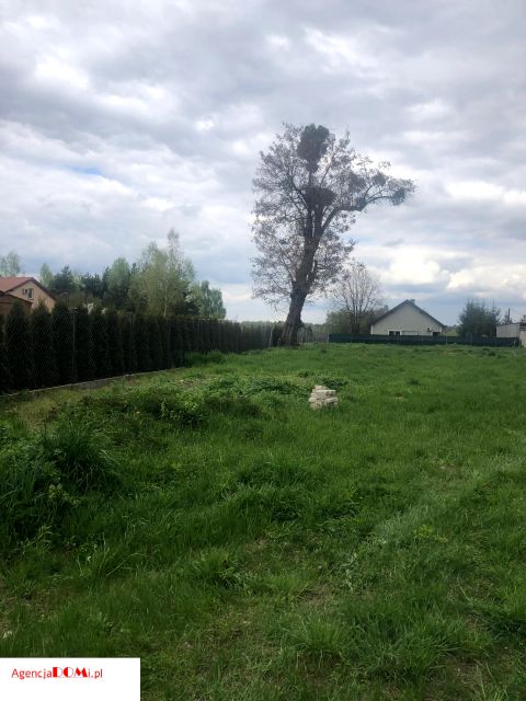 Działka budowlana Leszno