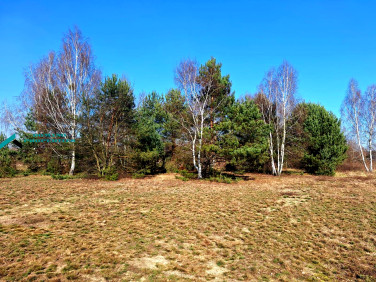 Działka siedliskowa Borzęcin Duży