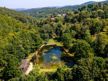 Działka usługowa Przesieka