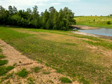 Działka rolna Rogale