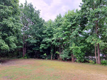 Działka inwestycyjna Wiązowna Kościelna