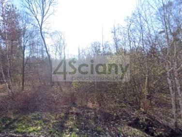 Działka budowlana Władków