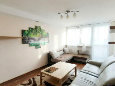 Mieszkanie Oleśnica