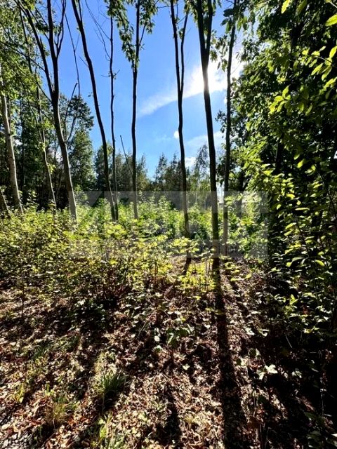 Działka inna Szczęsne