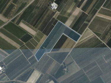 Działka rolna Wólka Kurdybanowska