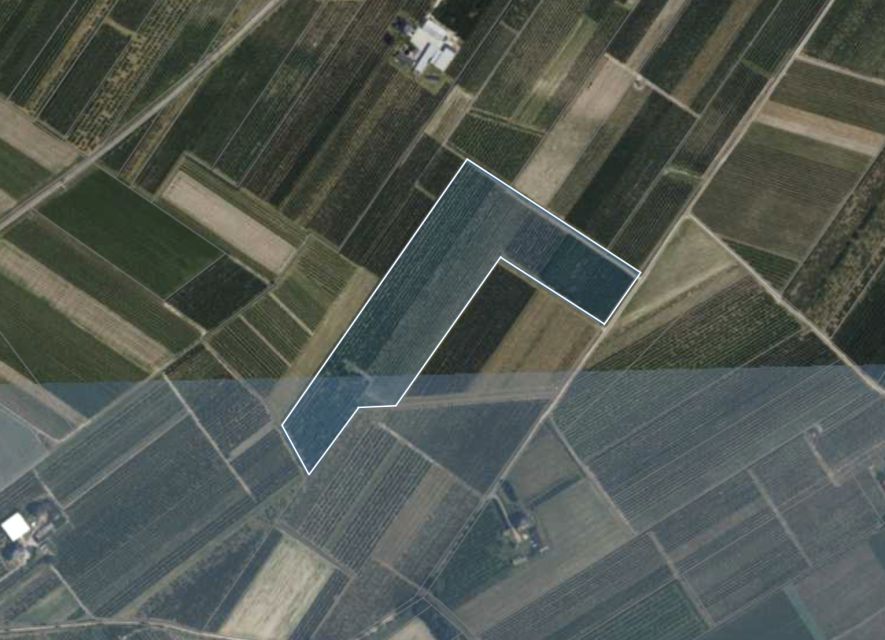 Działka rolna Wólka Kurdybanowska