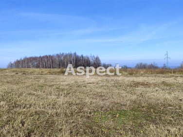 Działka budowlana Wola Rafałowska