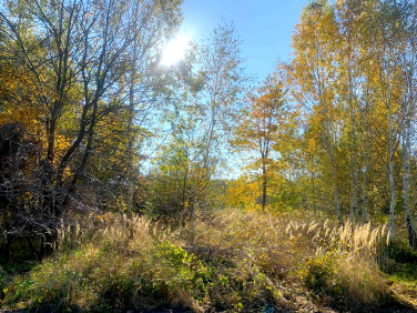 Działka budowlana Kałek