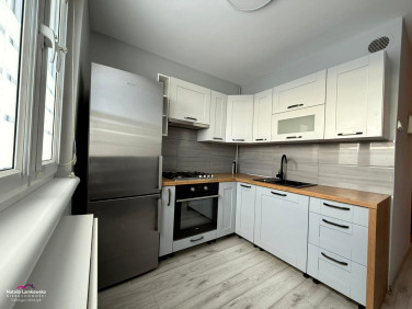 Mieszkanie kopernika