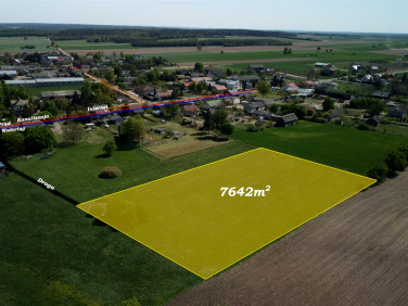 Działka rolna Kowalewko