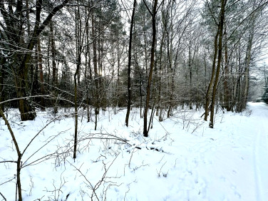 Działka budowlana Rydzynki