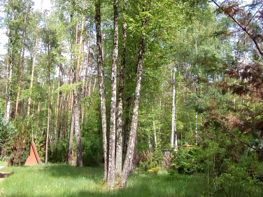 Działka budowlana Zofiówka