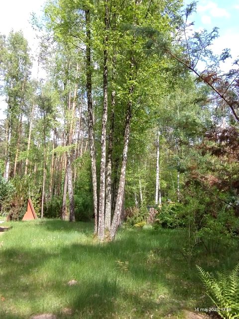 Działka budowlana Zofiówka