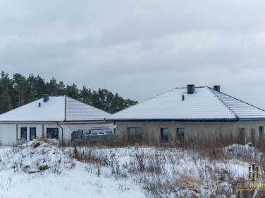 Dom wolnostojący sprzedaż