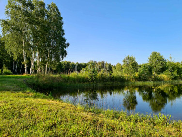 Działka siedliskowa Nowe Żukowice